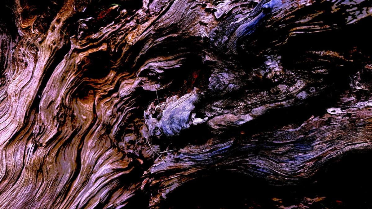 AI Infrastructure - Building the Foundation for Healthcare AI