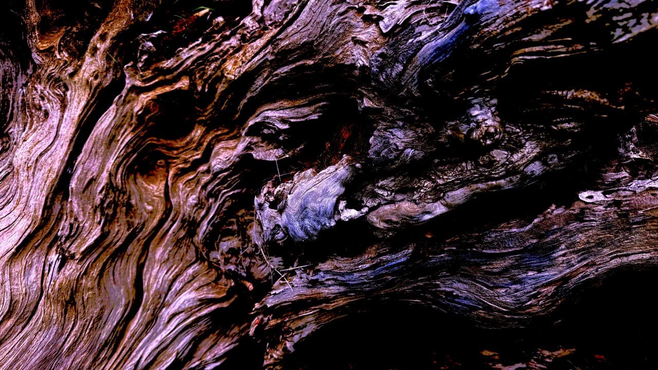 AI Infrastructure - Building the Foundation for Healthcare AI