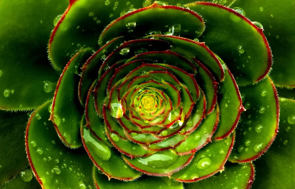 Healthcare Is Becoming a Learning System with AI as its Catalyst